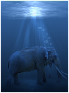 Madison swims into the Klatch.